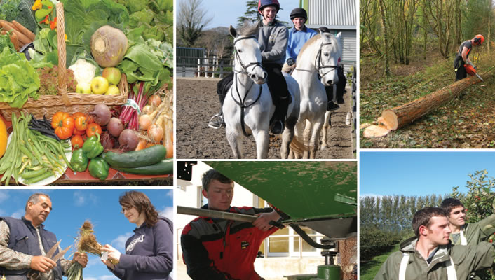 Career Opportunities in Agriculture, Horticulture or Forestry