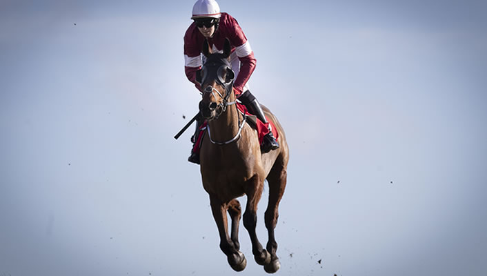 Careers in Horse Racing
