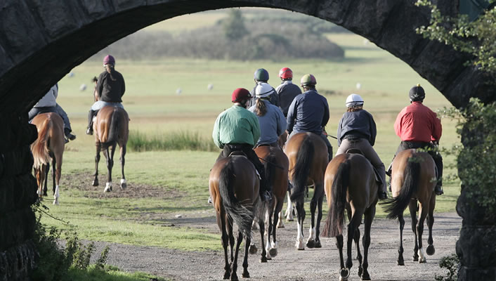 Careers in Horse Racing