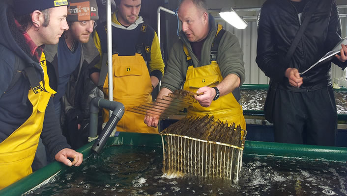 Taste the Atlantic: Young Chef Ambassador Programme 2025
