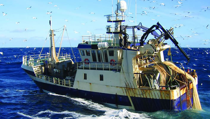 Career Opportunities in the Sea Food Industry