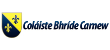 Colaiste Bride Carnew