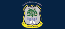 Colaiste Mhuire Thurles